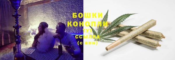молекула духа Каменск-Шахтинский
