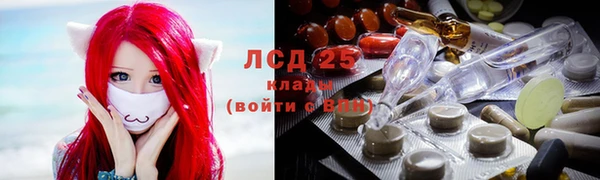 ПСИЛОЦИБИНОВЫЕ ГРИБЫ Каменногорск