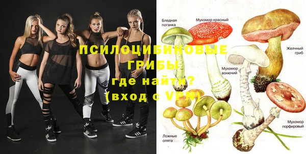 марки nbome Каменка