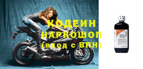 ГАЛЛЮЦИНОГЕННЫЕ ГРИБЫ Касимов
