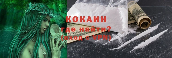 молекула духа Каменск-Шахтинский