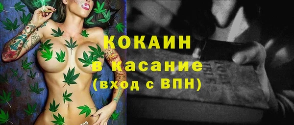 ГАЛЛЮЦИНОГЕННЫЕ ГРИБЫ Касимов